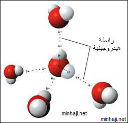 الرابطة الهيدروجينية بين جزيئات الماء
